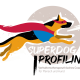 Superdog-Profiling
